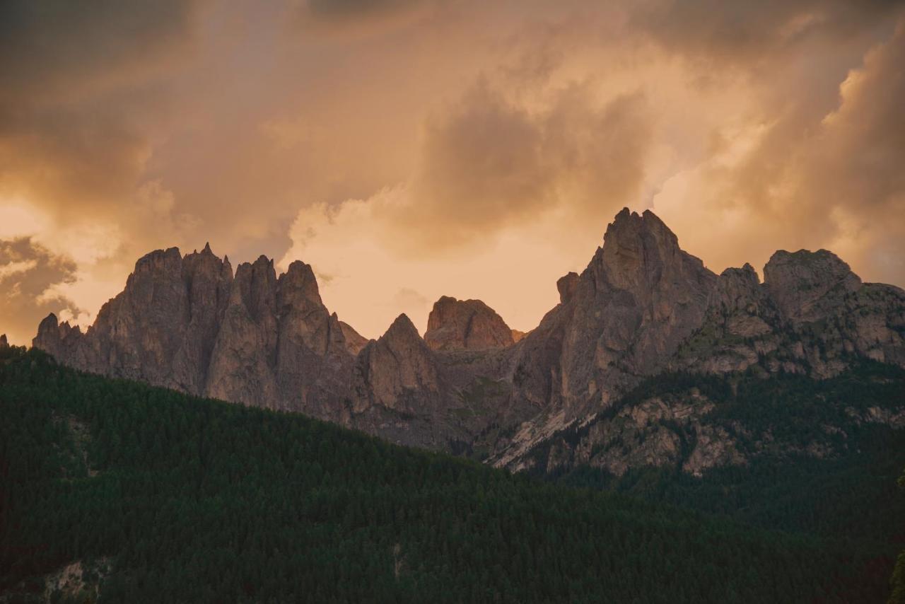 Chalet La Ciaseta Pozza di Fassa Bagian luar foto